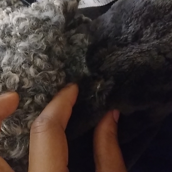 Vintage 1950/1960's Tarnopol's Fur Coat! - Picture 8 of 8